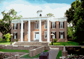 image3.gif